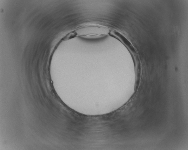 X0000078300289200612011841