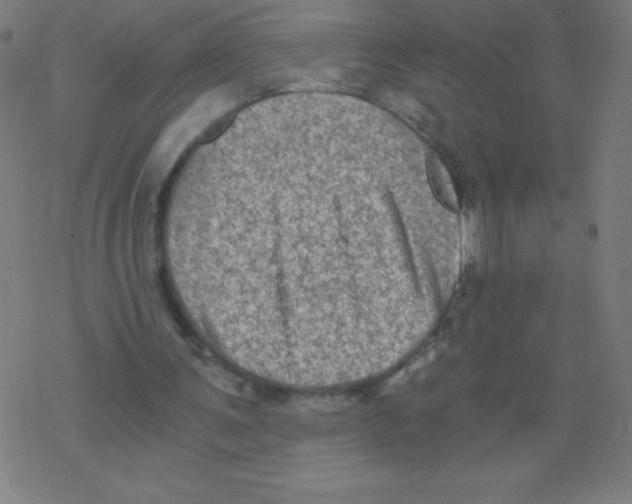 X0000078300291200612011841