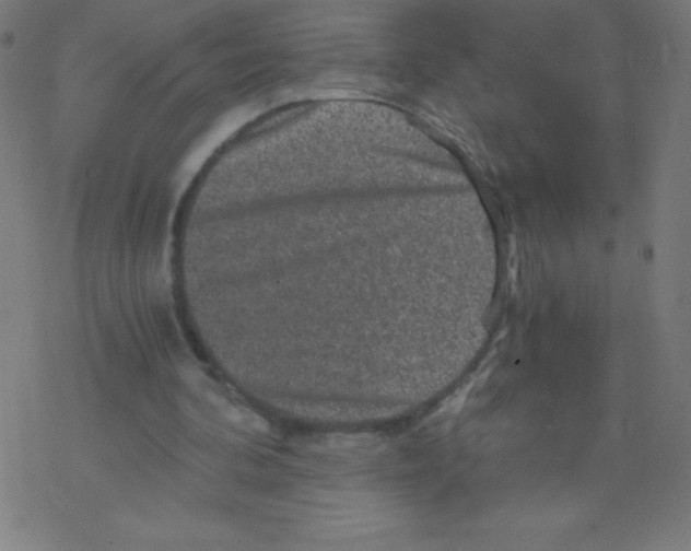 X0000078300292200612011841