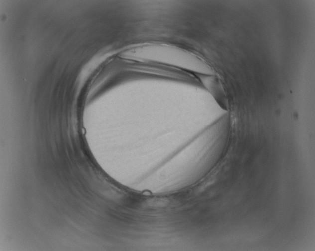 X0000078300294200612011841