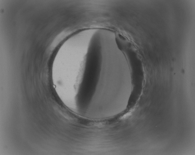 X0000078300295200612011841