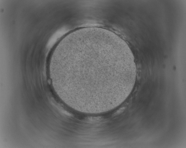 X0000078300296200612011841