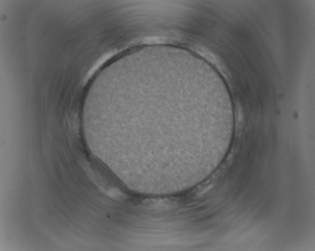 X0000078300297200612011841