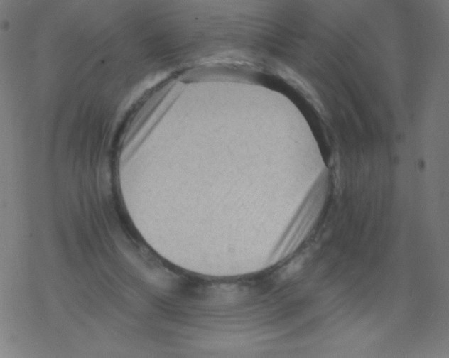 X0000078300298200612011841