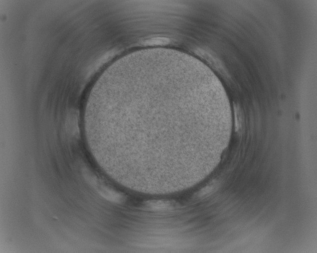 X0000078300300200612011841