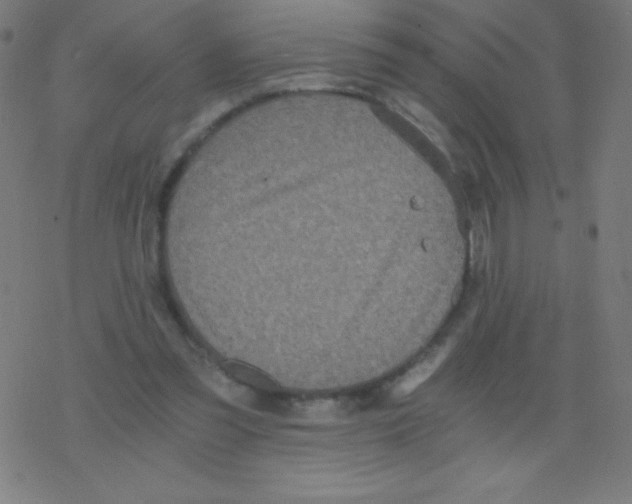 X0000078300301200612011841