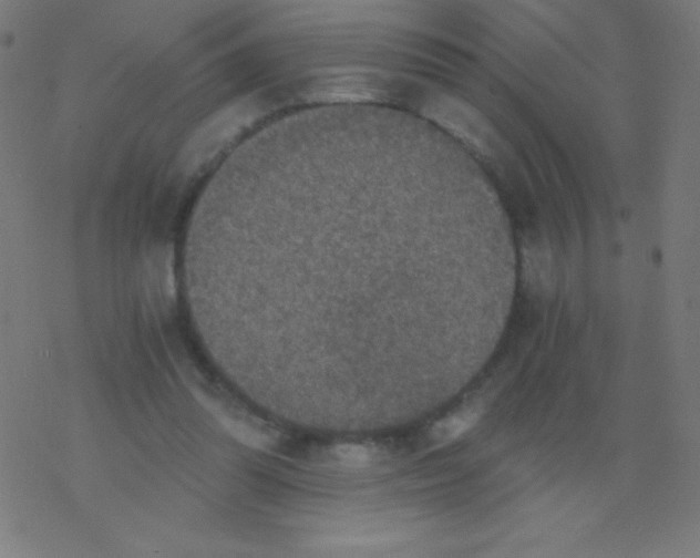 X0000078300302200612011841