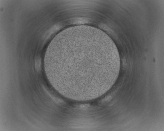 X0000078300304200612011841