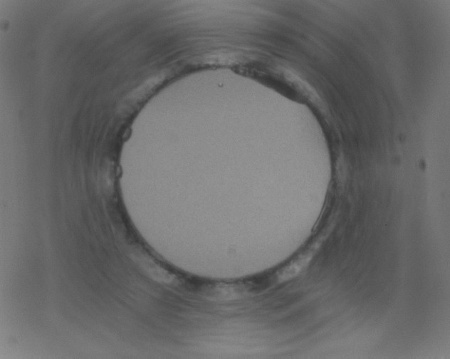 X0000078300305200612011841