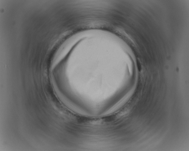 X0000078300306200612011841