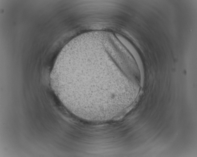 X0000078300307200612011841