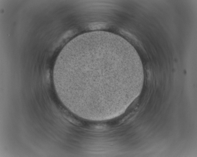 X0000078300308200612011841