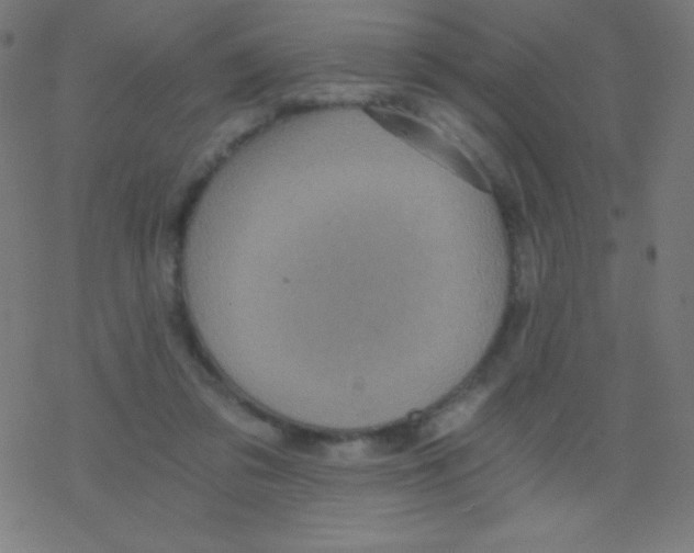 X0000078300309200612011841