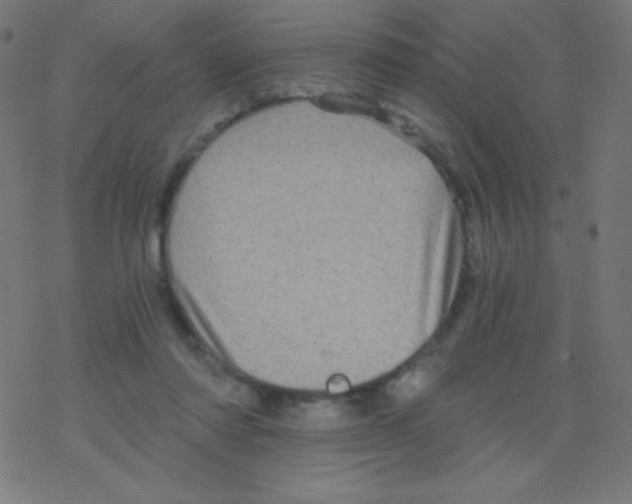 X0000078300310200612011841