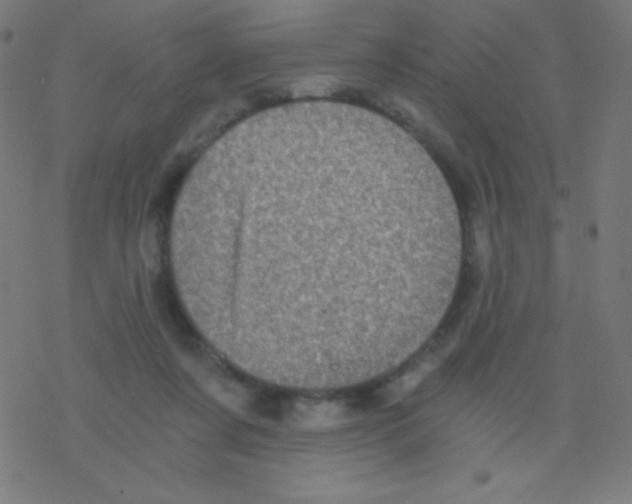 X0000078300311200612011841