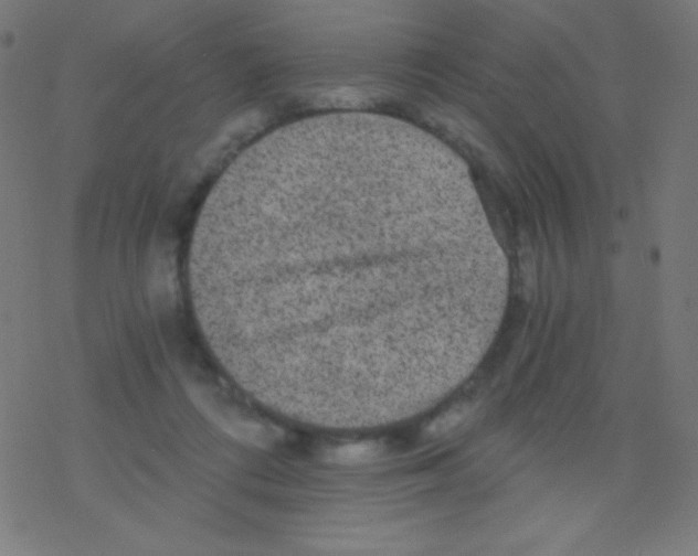 X0000078300312200612011841