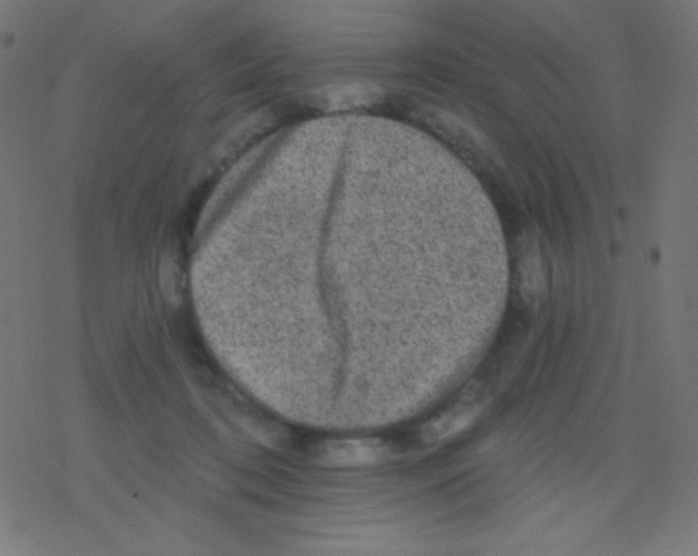 X0000078300316200612011841