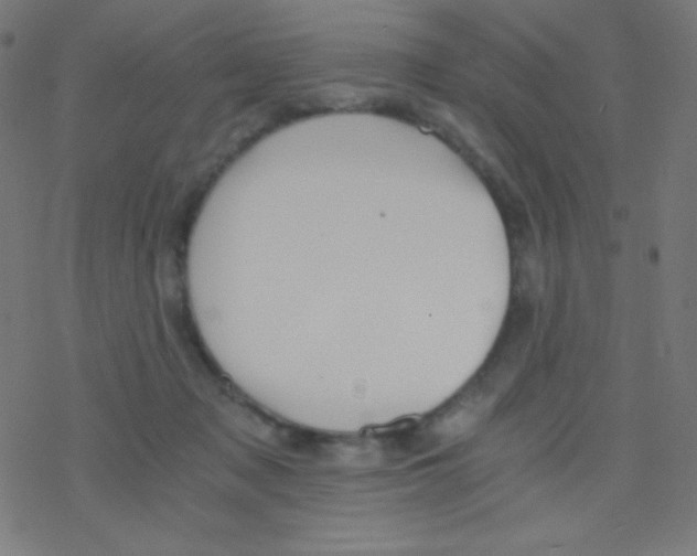 X0000078300317200612011841