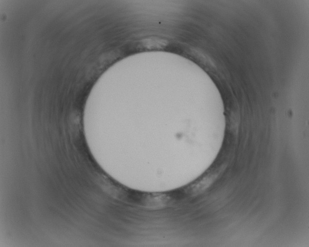 X0000078300321200612011841