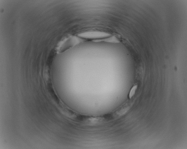 X0000078300323200612011841