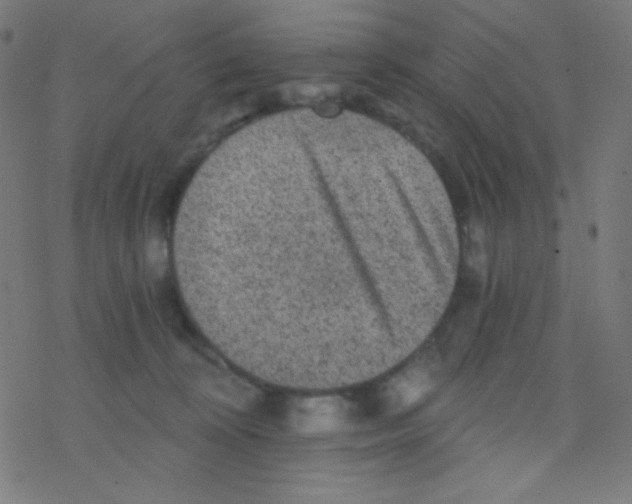 X0000078300324200612011841