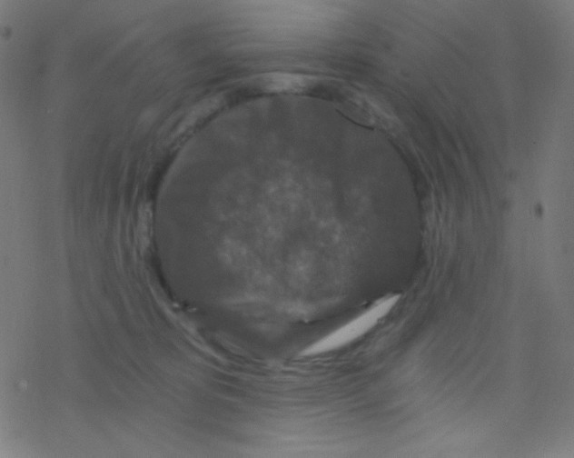 X0000078300325200612011841