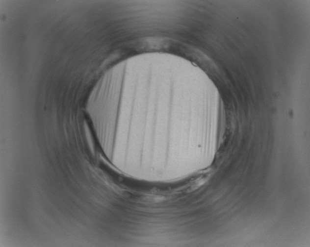 X0000078300326200612011841