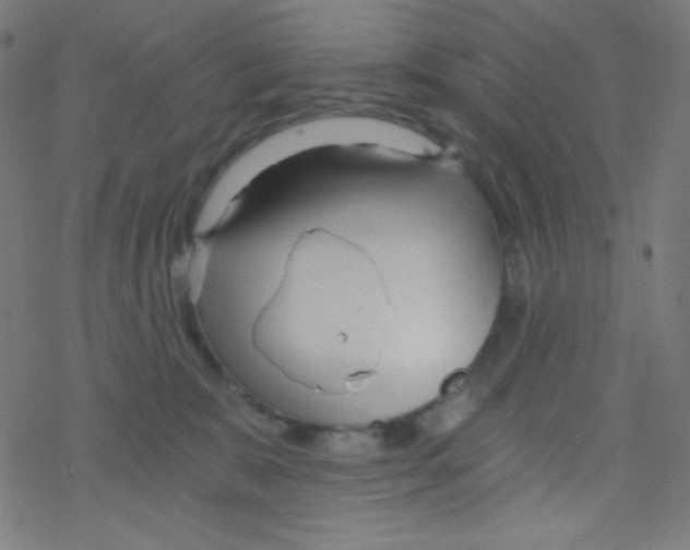 X0000078300327200612011841