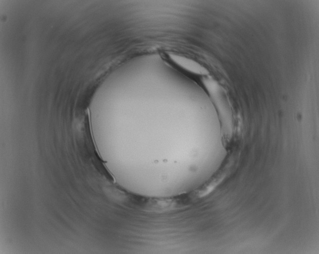 X0000078300329200612011841