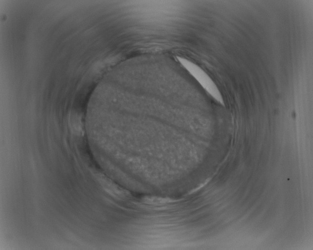 X0000078300331200612011841