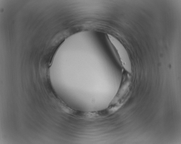 X0000078300333200612011841