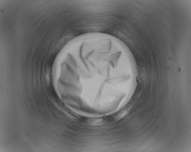 X0000078300334200612011841