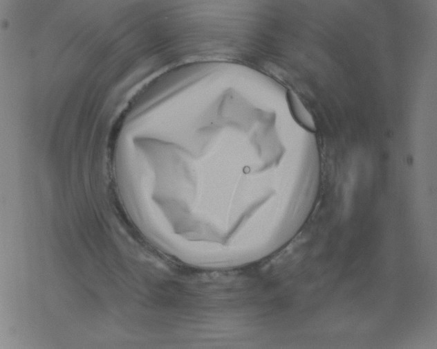 X0000078300338200612011840