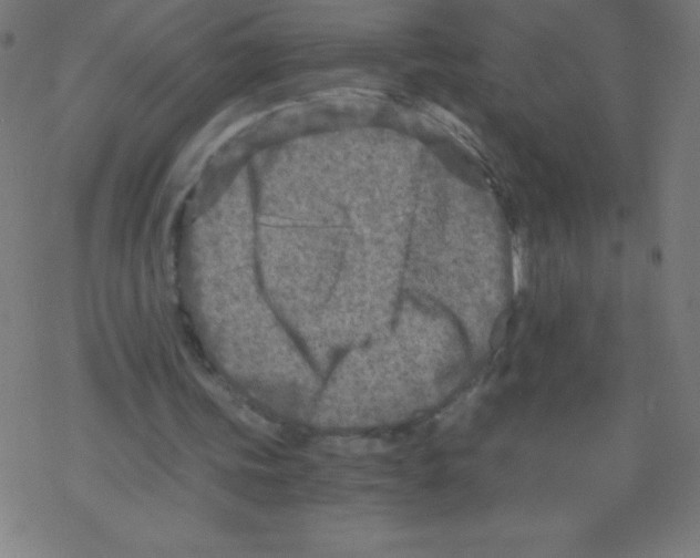 X0000078300339200612011840