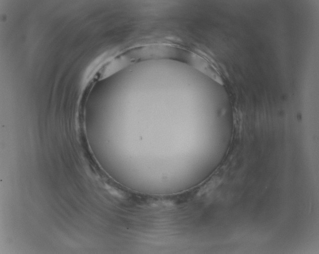 X0000078300340200612011840