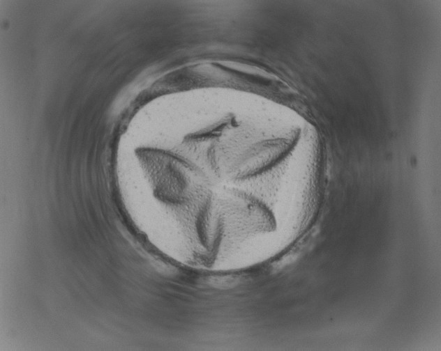 X0000078300341200612011840