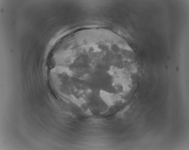 X0000078300343200612011840