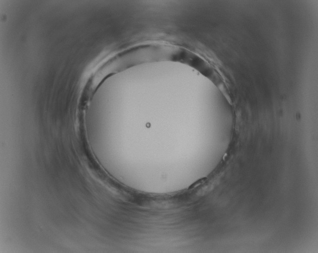 X0000078300344200612011840