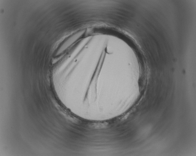 X0000078300345200612011840