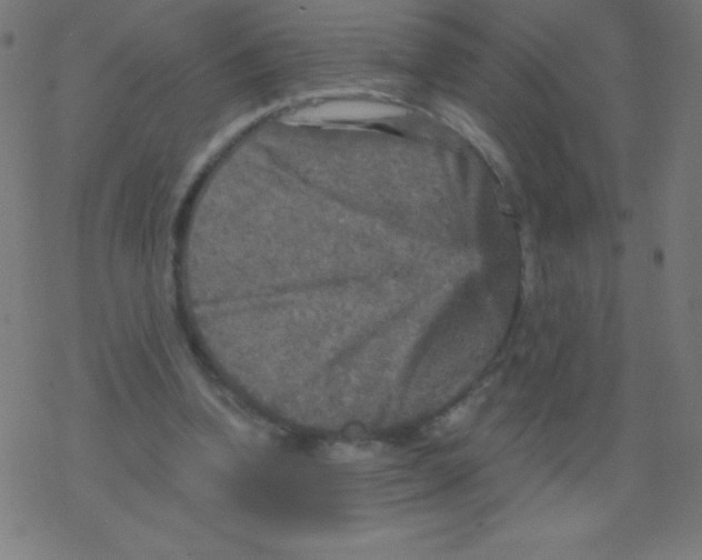 X0000078300346200612011840