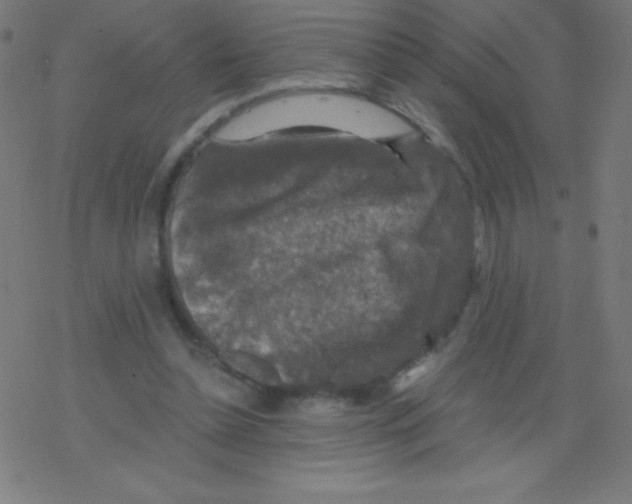 X0000078300348200612011840