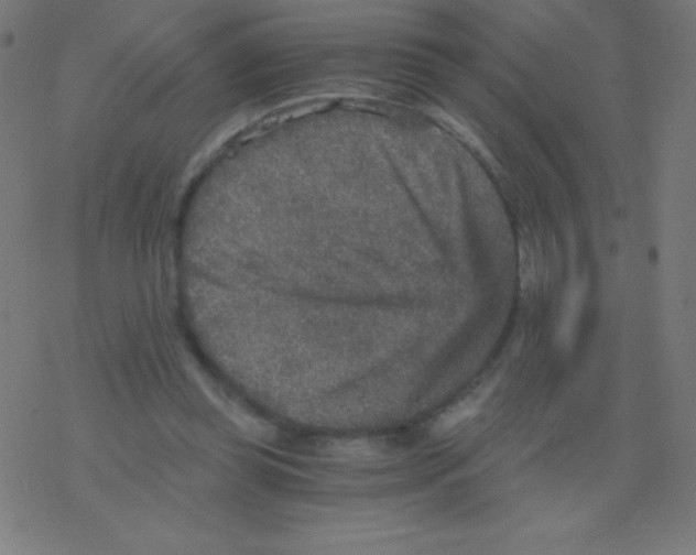 X0000078300349200612011840