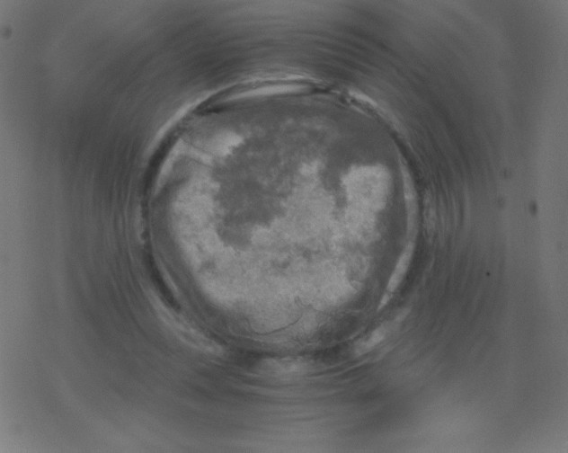 X0000078300351200612011840