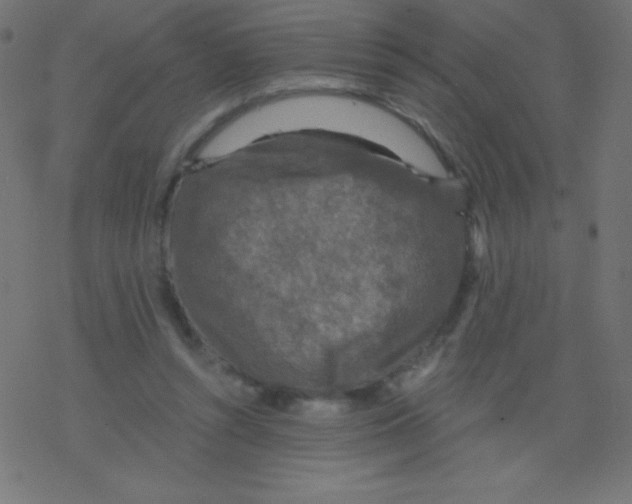 X0000078300352200612011840