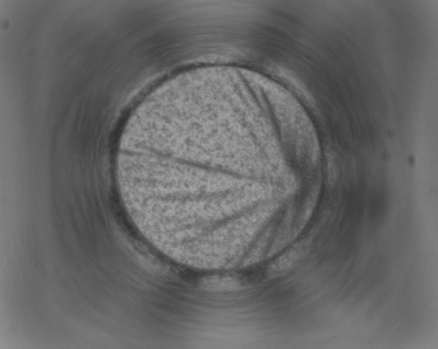 X0000078300354200612011840