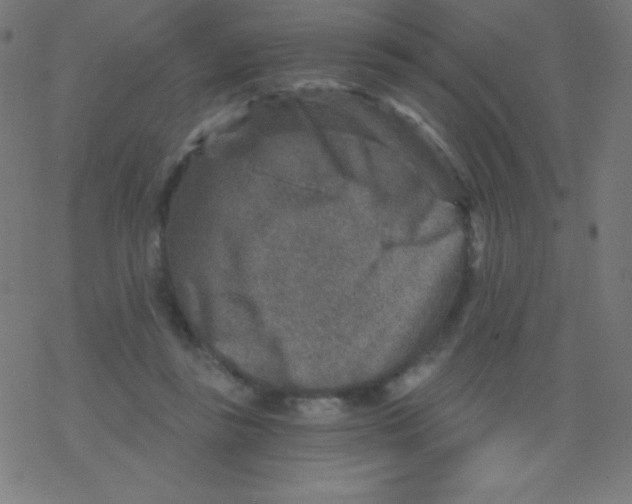 X0000078300355200612011840