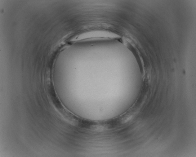 X0000078300356200612011840