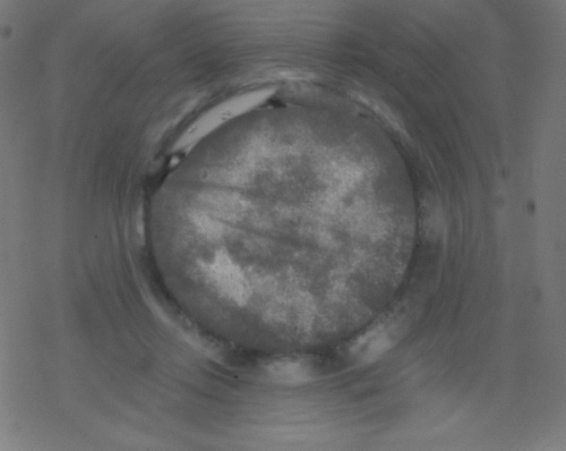 X0000078300358200612011840