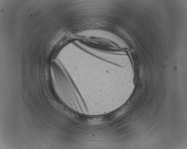 X0000078300362200612011840