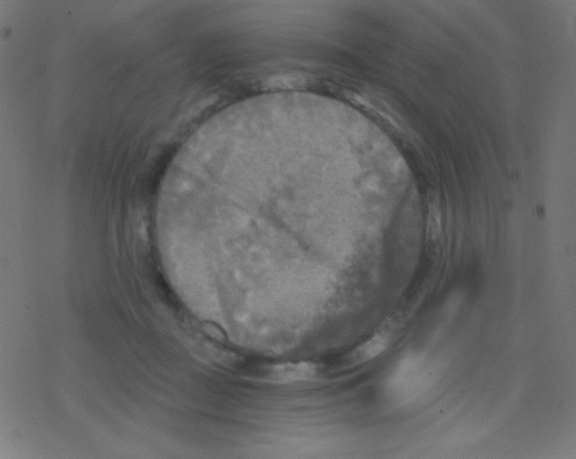 X0000078300363200612011840